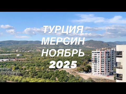 Видео: ЧУТЬ НЕ УГРОБИЛИ турецкого КОТА | ЕСТЬ И ХОРОШИЕ НОВОСТИ 