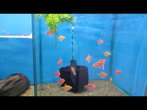 Видео: Обзор магазина. 5 ноября 2025г