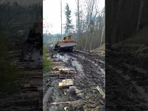 Видео: тдт 55 тащит большую пачку.!)