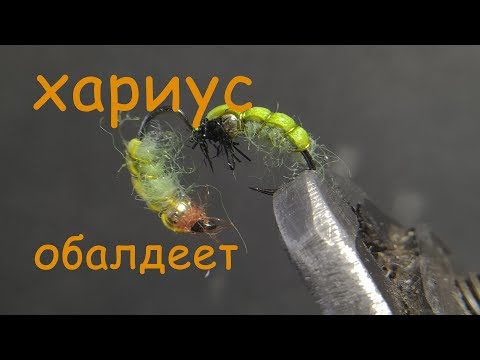 Видео: отличная нимфа на хариуса