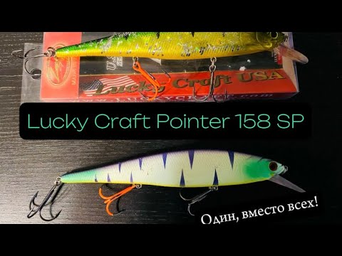 Видео: Воблер LUCKY CRAFT POINTER 158. Твичинг. Троллинг.