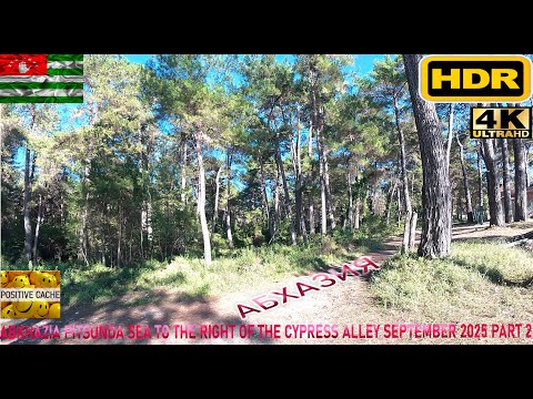 Видео: HDR 4К UHD video Abkhazia Pitsunda sea to the right of the cypress alley September 2025 part 2