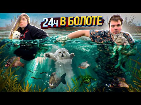 Видео: 24 ЧАСА В БОЛОТЕ С КОТОМ И СОБАКОЙ | СПАСЛИ СПЯЩУЮ ЛЯГУШКУ И ПИЯВОК