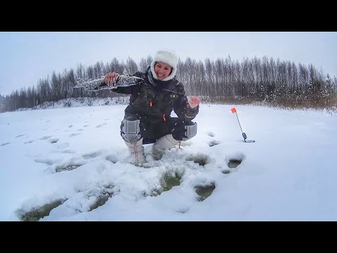 Видео: ЩУКА не даëт присесть. ЗИМНЯЯ РЫБАЛКА на жерлицы. Ловлю в СНЕГОПАД. Russian fishing