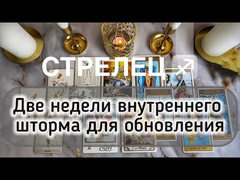 Видео: Стрелец ♐️ таро и гороскоп с 13 по 26 октября 2025