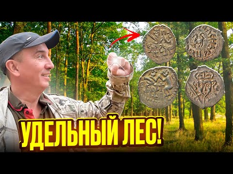 Видео: Удельные монеты на каждом шагу! Нашёл нетронутый лес, Откуда они здесь?!