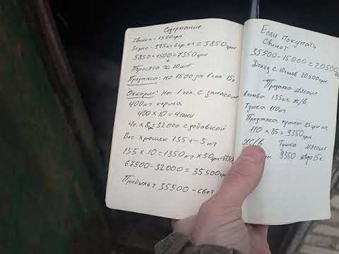 Видео: ДОХОД НА СВИНЬЯХ?