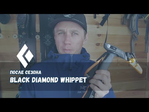 Видео: Треккинговая палка Black Diamond Whippet [Обзор после сезона]