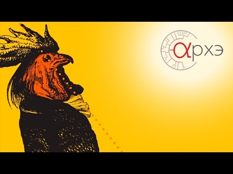 Видео: Борис Жуков: Категория "смысла" в биологии