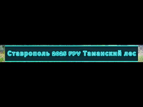 Видео: Ставрополь 2025 FPV Таманский лес