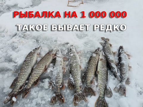 Видео: НЕРЕАЛЬНОЕ КОЛИЧЕСТВО ПОКЛЁВОК, ТАКАЯ РЫБАЛКА БЫВАЕТ РЕДКО