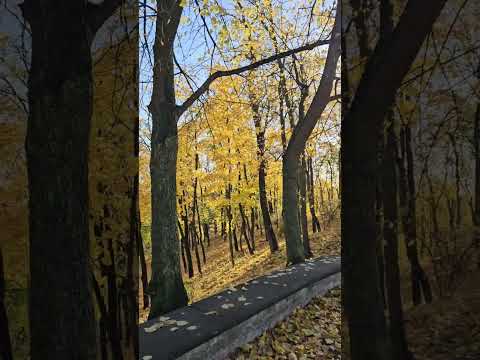 Видео: парк Dzeguskalna в Риге осенью
