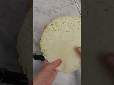 Видео: Капуста семена алтая