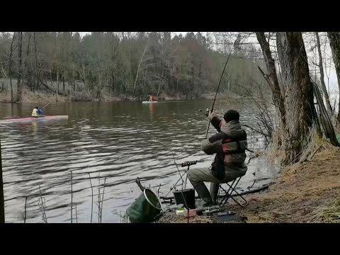 Видео: ЛОВЛЯ ПЛОТВЫ В КОНЦЕ ФЕВРАЛЯ  ВЕСЕННЯЯ ПЛОТВА НА ФИДЕР