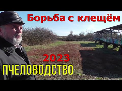 Видео: Клещ Varroa / Способы борьбы/ Итог сезона 2023.