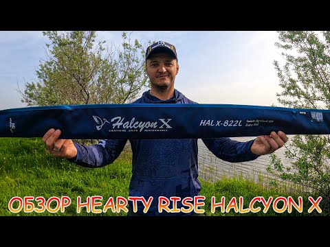 Видео: ОБЗОР Hearty Rise Halcyon X 822L. Тестирование. Джиг. Воблеры. Поймал судака на реке.