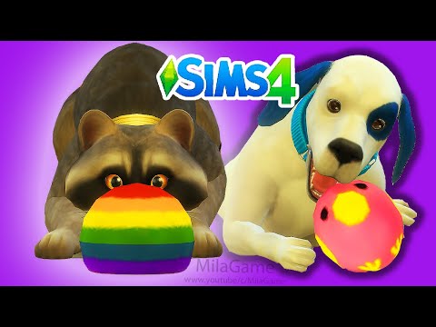 Видео: ТОМ 2 В The Sims 4 ПРИКЛЮЧЕНИЕ С ПИТОМЦАМИ В СИМС 4 | НАШЛИ ЛЯГУШКУ