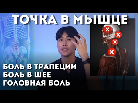 Видео: Эта точка избавит тебя от боли в трапеции, шее и голове / Разминай каждый день