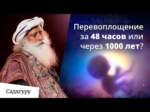 Видео: Почему момент смерти очень важен?