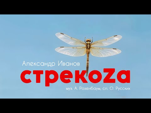 Видео: Александр Иванов и группа «Рондо» — Стрекоза (ОФИЦИАЛЬНЫЙ КЛИП, 2025)