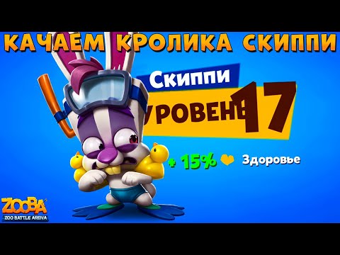 Видео: КАЧАЕМ КРОЛИКА СКИППИ НА 17 УРОВЕНЬ В ИГРЕ ZOOBA