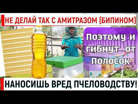 Видео: Никогда не делай так с амитразом (бипином). Навредишь всему пчеловодству!