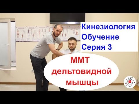 Видео: Тестирование дельтовидной мышцы в прикладной кинезиологии