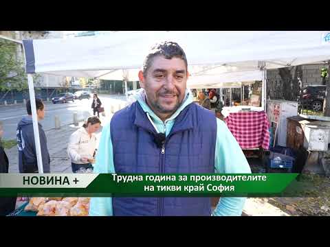 Видео: Новина плюс: Трудна година за производителите на тикви край София