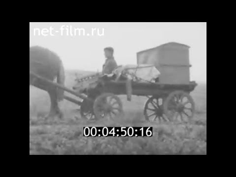 Видео: 1987г. деревня Твердино Ярославская обл.