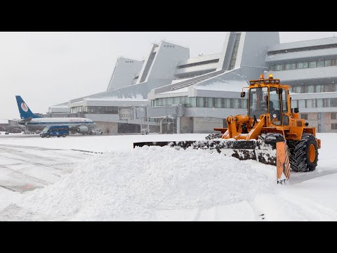 Видео: Универсальные погрузчики АМКОДОР