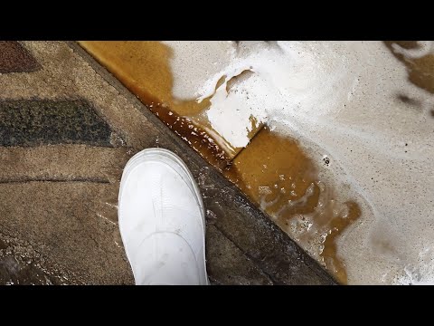 Видео: КАК ЭТО ВОЗМОЖНО? Ковёр настолько испачкался всего за год!