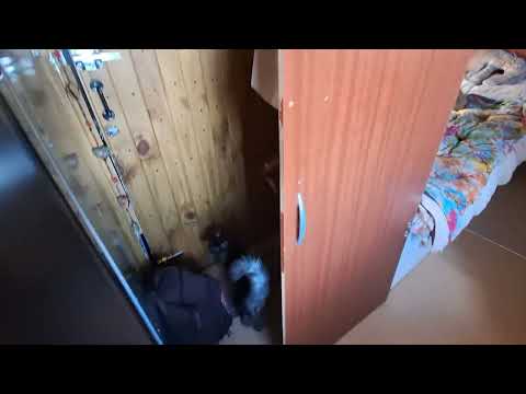 Видео: ГДЕ И КАК МЫ ЖИВЕМ И ПОЧЕМУ ЭТОТ ВЫБОР? АРГЕНТИНА, ОГНЕННАЯ ЗЕМЛЯ, УШУАЯ