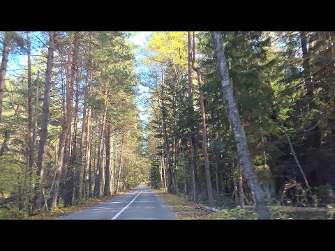 Видео: гоначхирское ущелье
