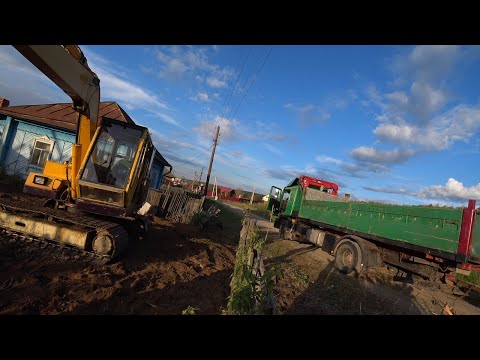 Видео: Грибу деньги лопатой