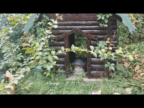 Видео: Гуляем в мини зоопарке! 