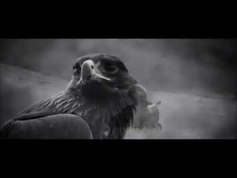 Видео: Владимир Ступин - Караторгай  2015