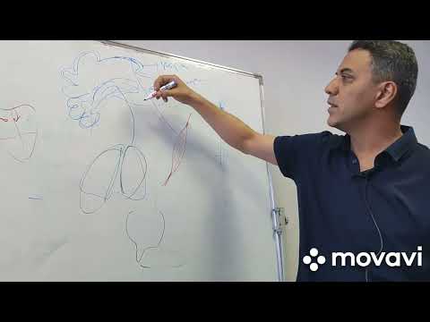 Видео: Любовь, это непроизвольное действие