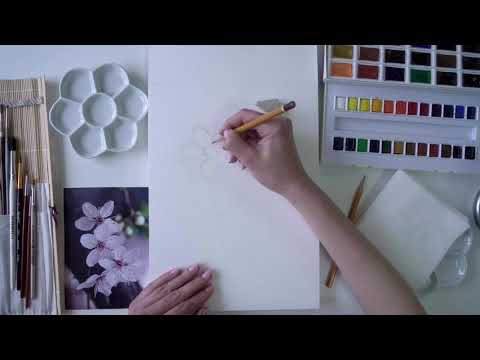 Видео: Цветы вишни акварелью
