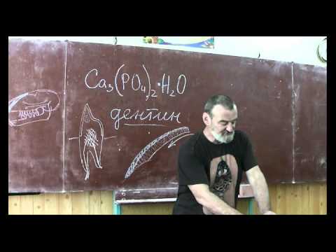 Видео: Драконоведение. Часть 22