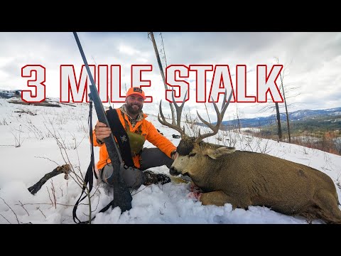 Видео: Самая захватывающая охота на оленя-мула в Колорадо