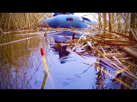 Видео: Ловля КАРАСЯ в Декабре на ПОПЛАВОК! Варю УХУ в ЛОДКЕ!!!