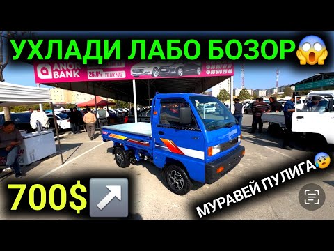 Видео: 1-НОЯБР ЛАБО ДАМАС ЛАБО НАРХЛАРИ 2025.ВОЙДОТ 700$ ЛАБО😱,ЮРАГИ БО'ШЛАР КО'РМАСИН.АНДИЖОН МОШИНА БОЗОР