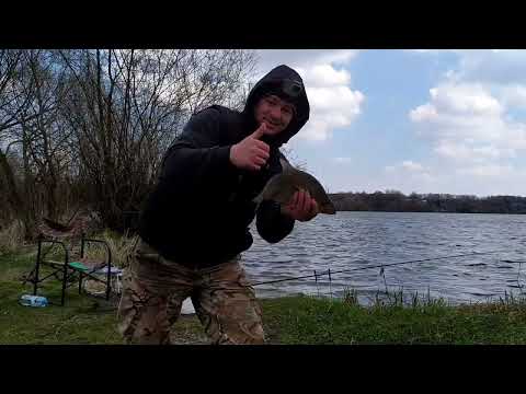 Видео: Тернопільский став.Рибалка на Фідер і Донку.Трофейні лящі рвуть поводки!!!