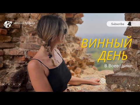 Видео: Как меня позвали на винный тур 😏🍷