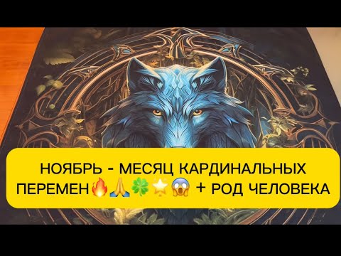 Видео: НОЯБРЬ - МЕСЯЦ КАРДИНАЛЬНЫХ ПЕРЕМЕН В ВАШЕЙ ЖИЗНИ🙂🔥🙏🍀😱☀️