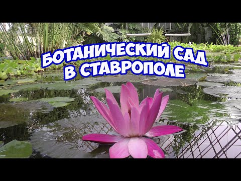Видео: Ботанический сад в Ставрополе. Красивое и прекрасное место для отдыха и фотосессий на природе
