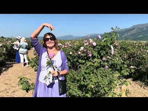 Видео: Болгария, Праздник Роз - 2025