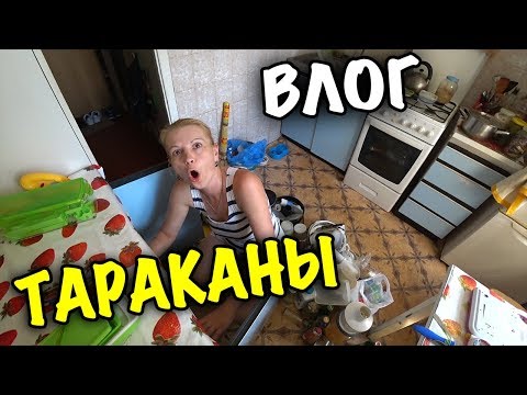 Видео: 😫 ССОРА ИЗ-ЗА БАРДАКА В ДОМЕ / В ДОМЕ ПОЯВИЛИСЬ ТАРАКАНЫ 😫