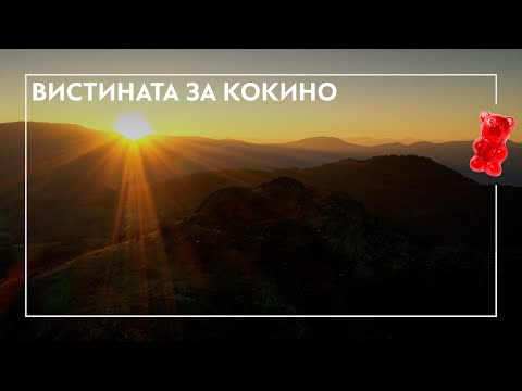 Видео: Вистината за Кокино