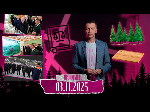 Видео: Цитата Лукашенко, от которой бесятся враги Беларуси/ Когда "не до законов" бывает лучше, чем закон?